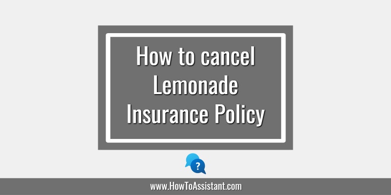 How to cancel Lemonade Insurance Policy.howtoassistant