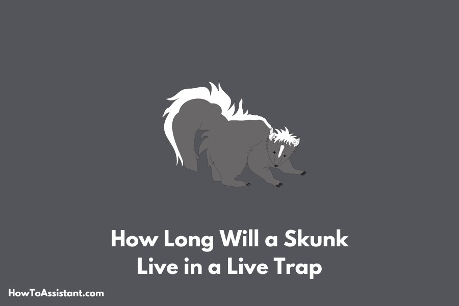 how-long-will-a-skunk-live-in-a-live-trap